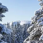 Waldloft Titisee-Neustadt