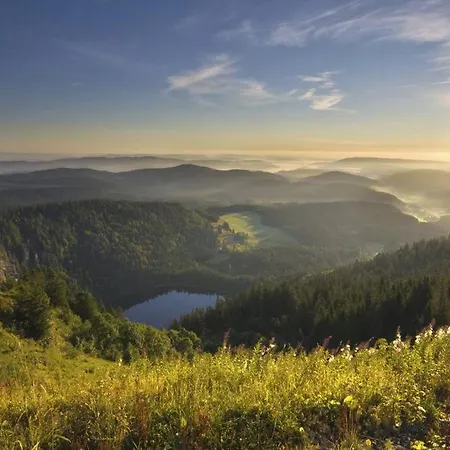 Waldloft Lejlighed Titisee-Neustadt