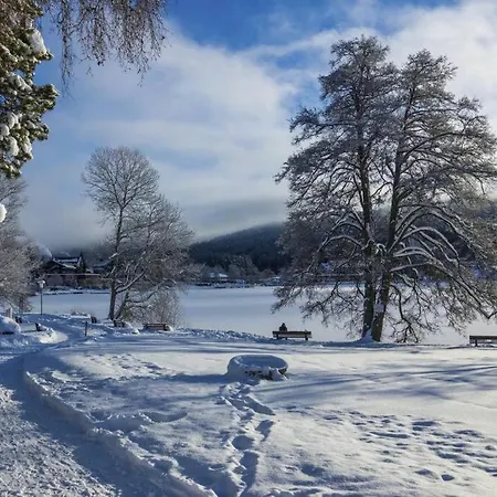 Διαμέρισμα Waldloft Titisee-Neustadt