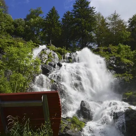 Διαμέρισμα Waldloft Titisee-Neustadt